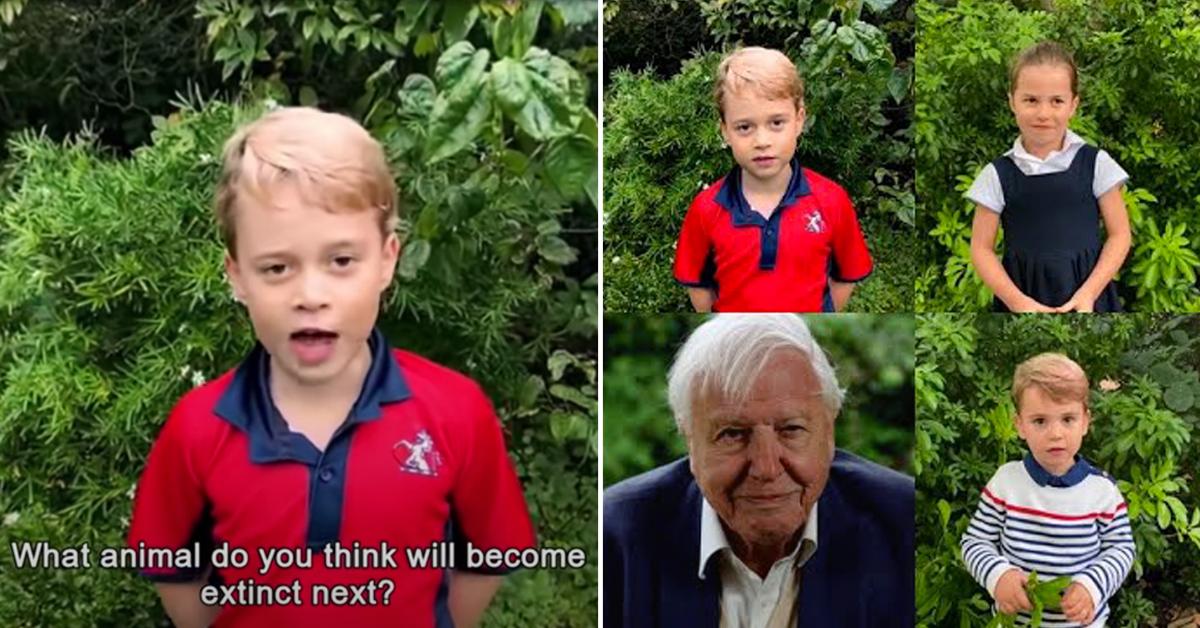 prince george princess charlotte prince louis ask historian david attenborough animals tro